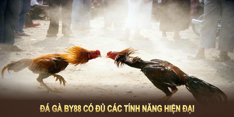 Đá gà BY88 là sân chơi hội tụ đủ các tính năng hiện đại 